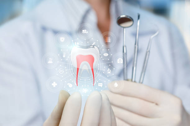 Best Preventive Dentistry  in Coal Valley, IL